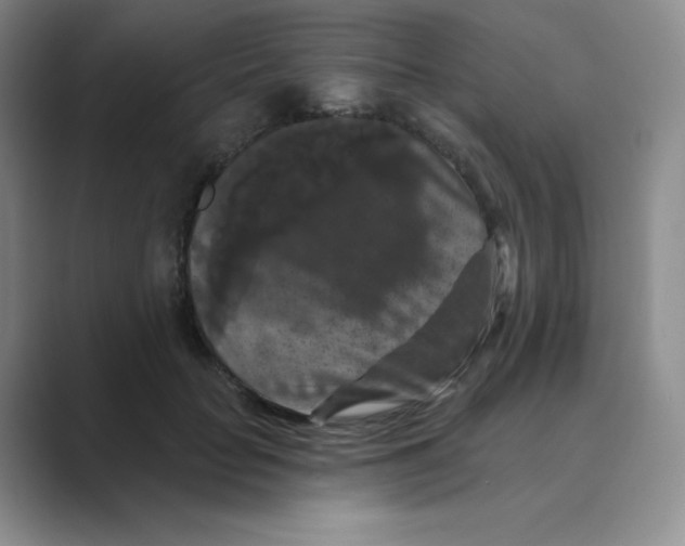 X0000088690653200706282003