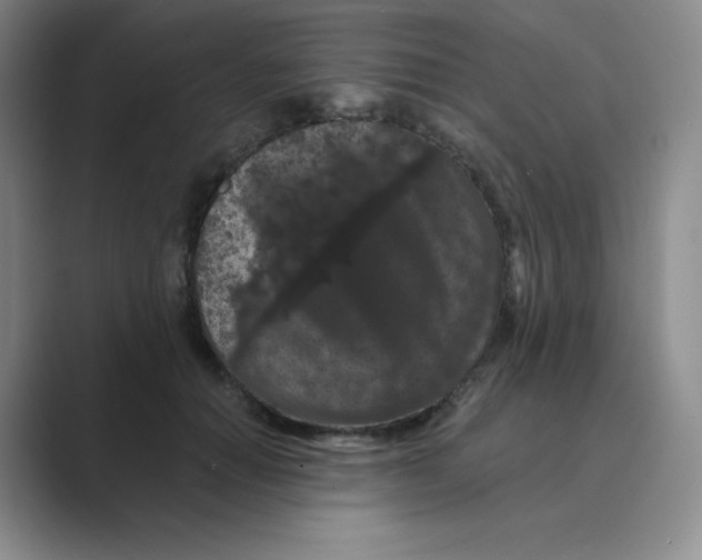 X0000088690654200706282003