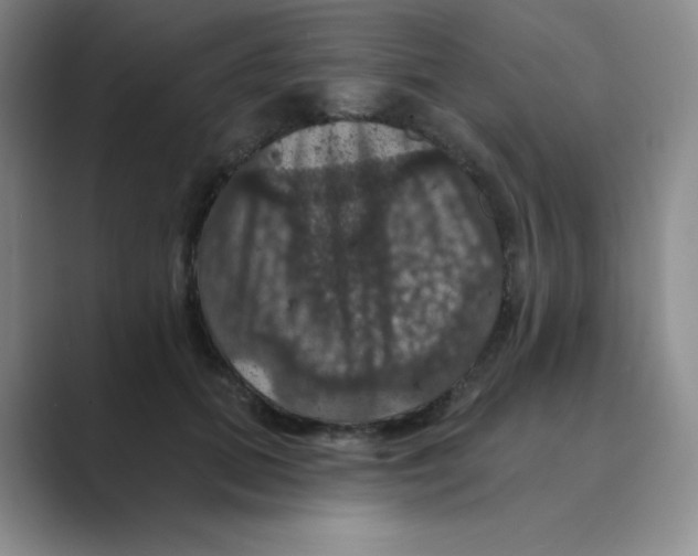 X0000088690655200706282003