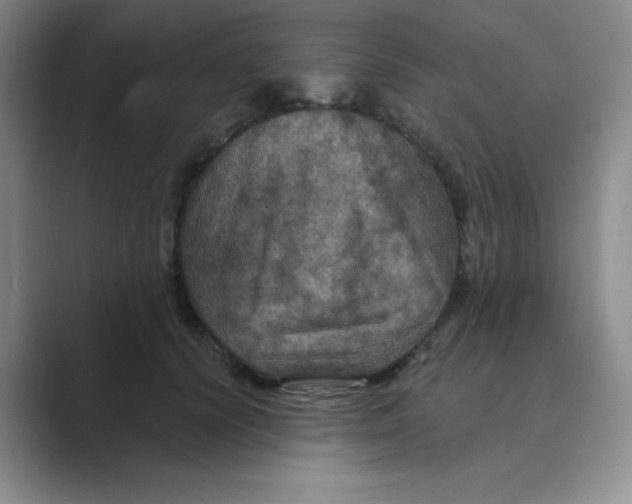 X0000088690656200706282003
