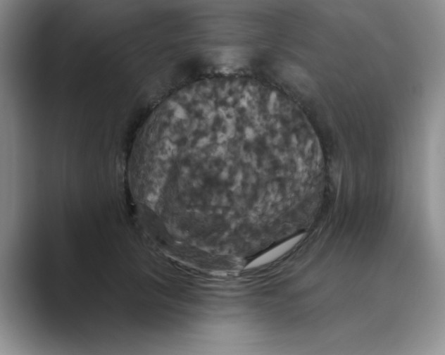 X0000088690657200706282003