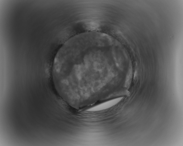 X0000088690658200706282003