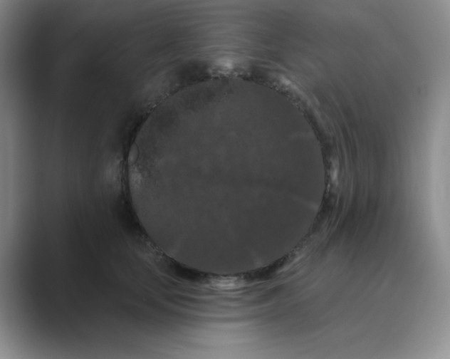 X0000088690659200706282003