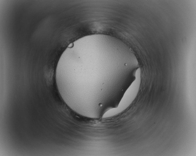 X0000088690660200706282003