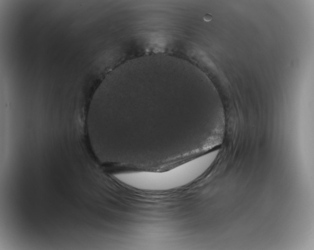X0000088690661200706282003