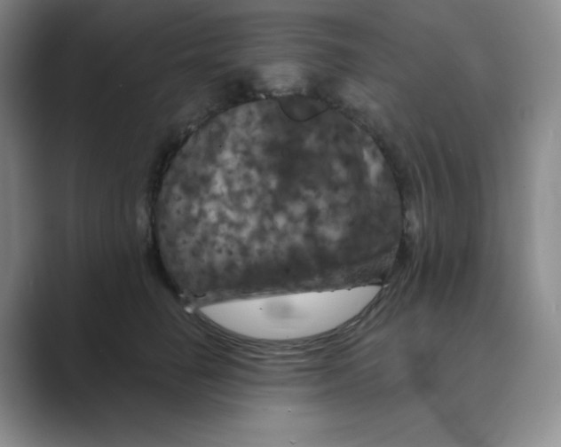 X0000088690662200706282003