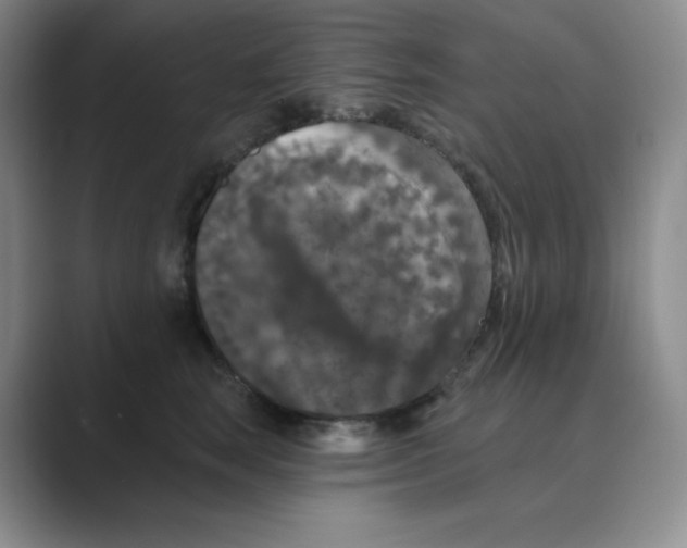 X0000088690663200706282003