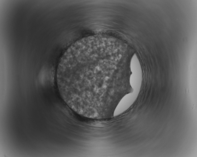 X0000088690664200706282003