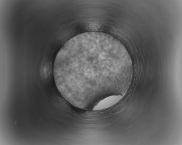 X0000088690665200706282003