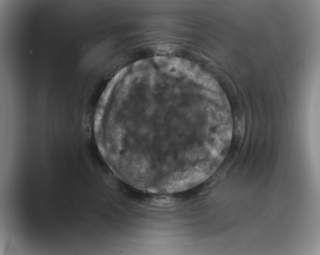X0000088690666200706282003