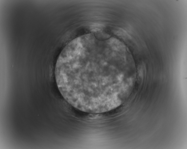 X0000088690667200706282003