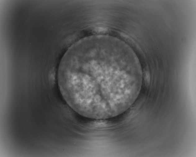 X0000088690668200706282003