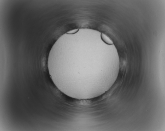 X0000088690670200706282004