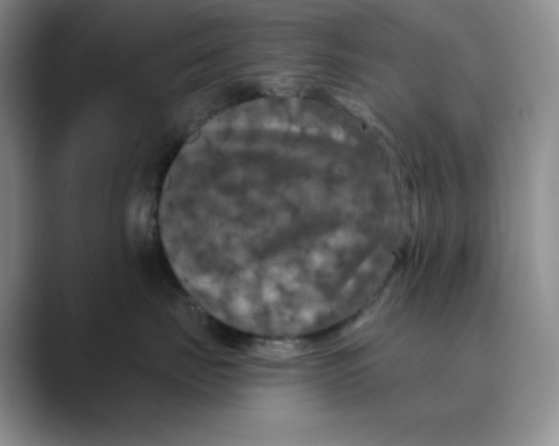 X0000088690671200706282004