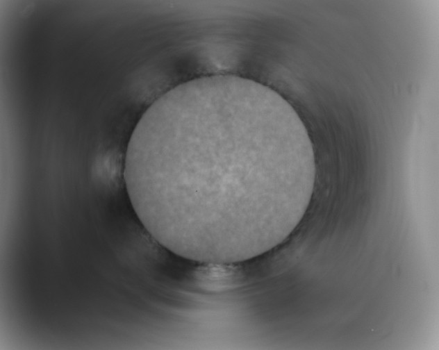 X0000088690672200706282004