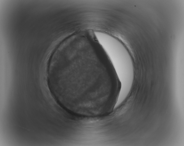 X0000088690673200706282003