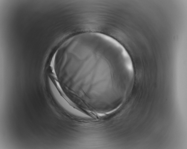X0000088690674200706282003