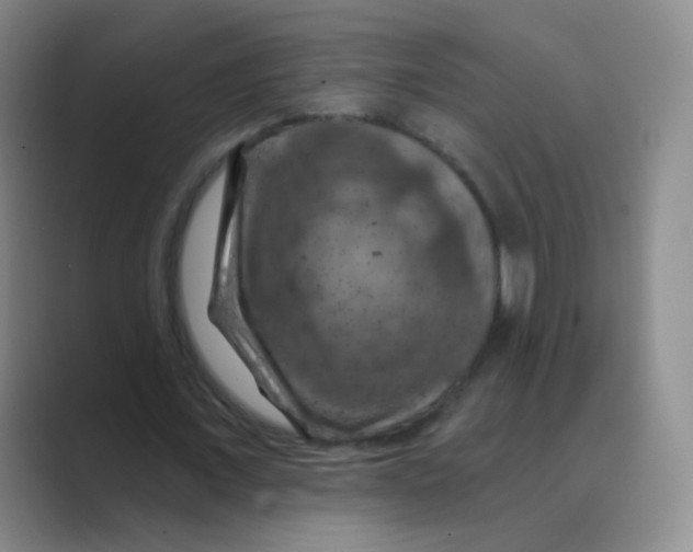 X0000088690675200706282003