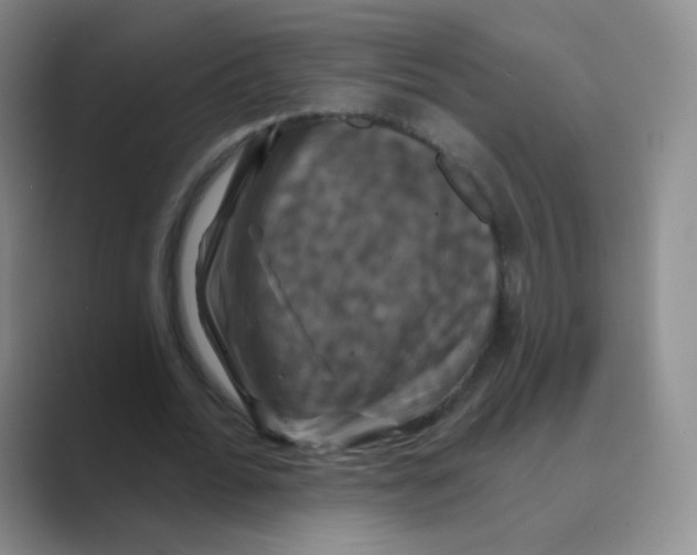 X0000088690676200706282003