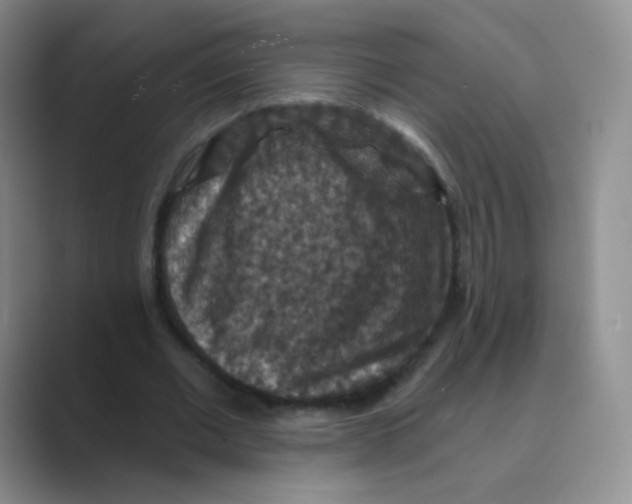 X0000088690677200706282003