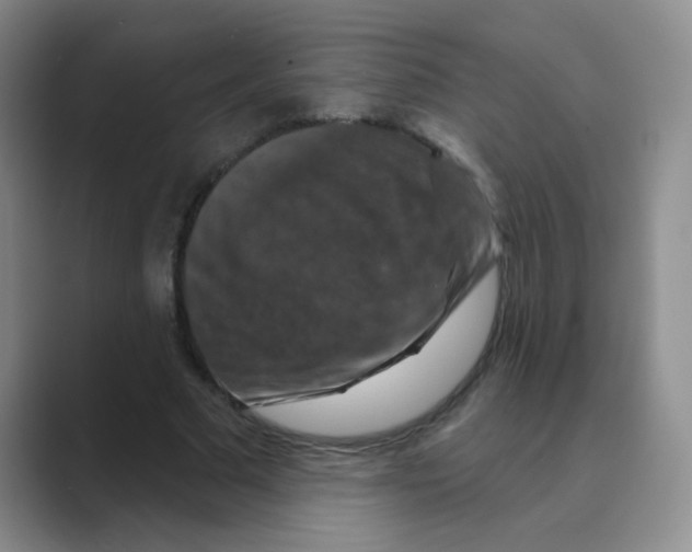 X0000088690681200706282003