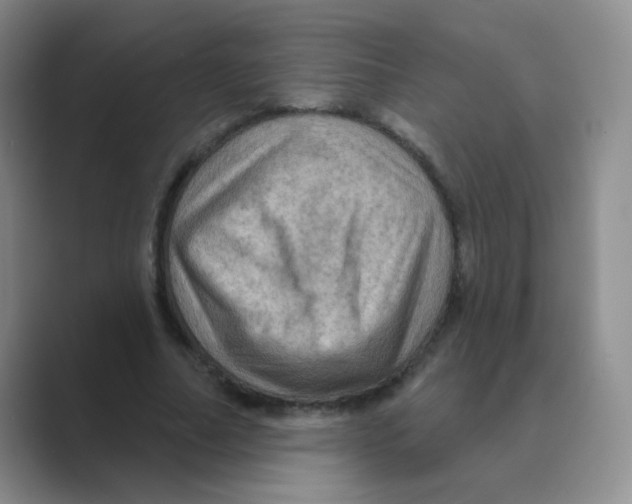 X0000088690682200706282003