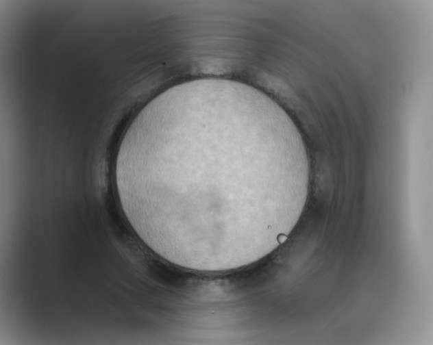 X0000088690683200706282003