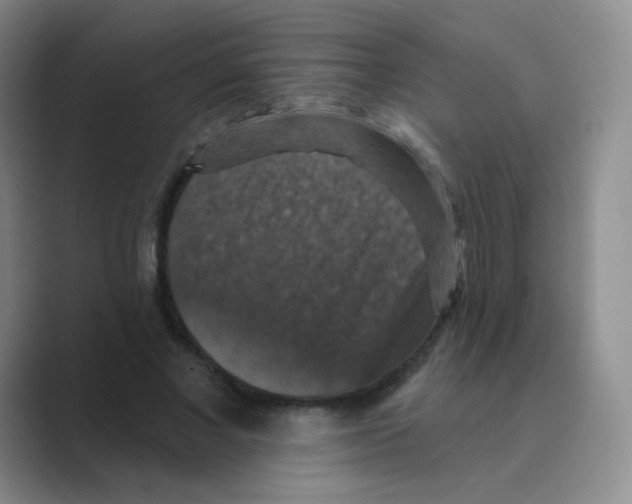 X0000088690685200706282003