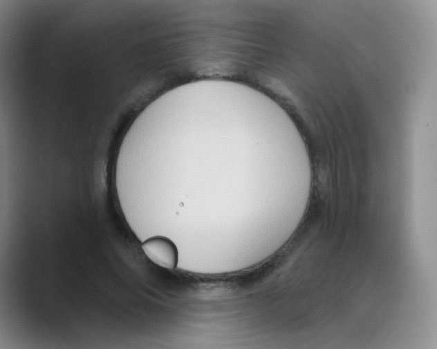 X0000088690686200706282003
