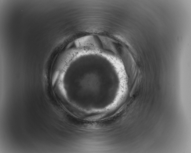 X0000088690688200706282003