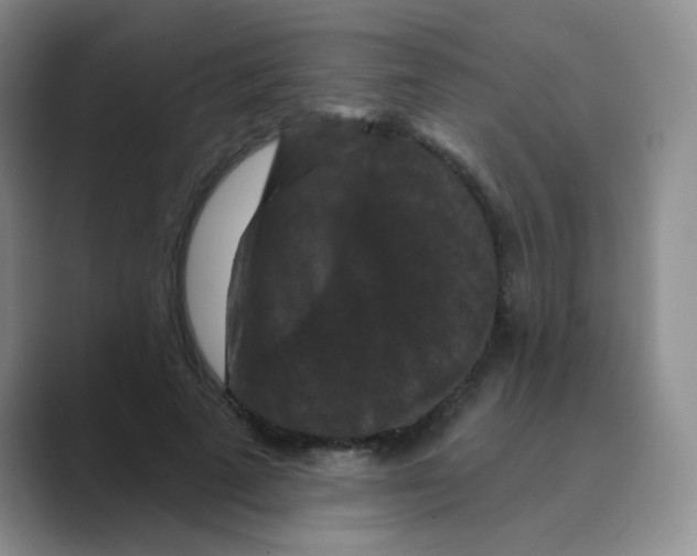 X0000088690689200706282003