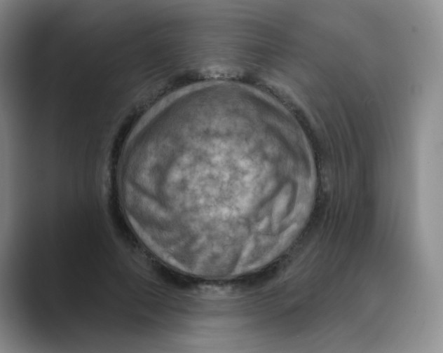 X0000088690690200706282003