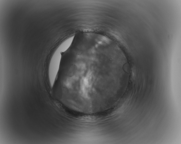 X0000088690691200706282003