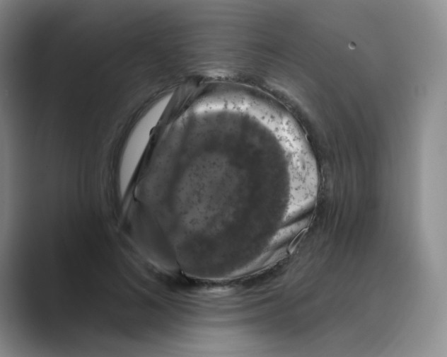 X0000088690692200706282003