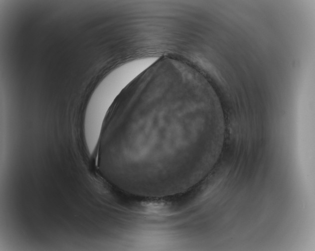 X0000088690693200706282003