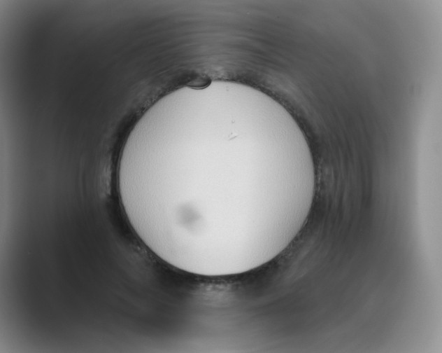 X0000088690694200706282003