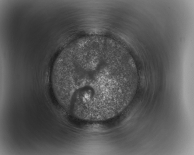 X0000088690695200706282003
