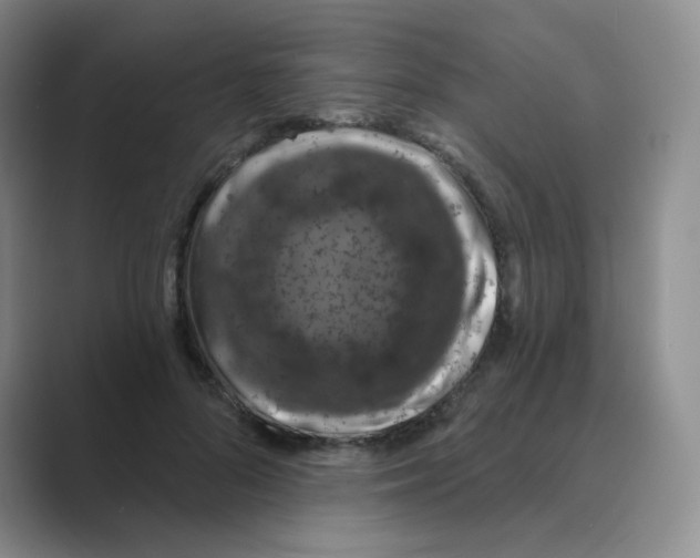 X0000088690696200706282003