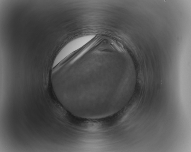 X0000088690697200706282003