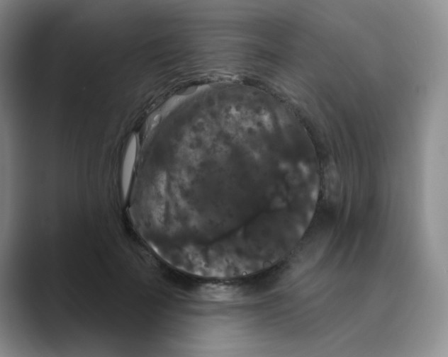 X0000088690699200706282003
