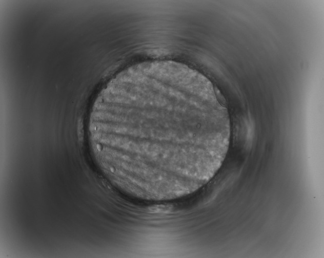 X0000088690700200706282003