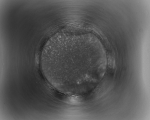 X0000088690701200706282003