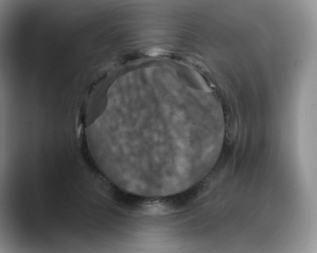 X0000088690704200706282002