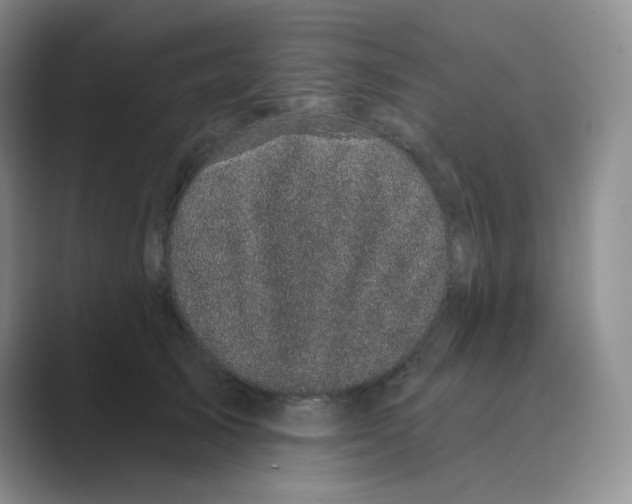 X0000088690705200706282002