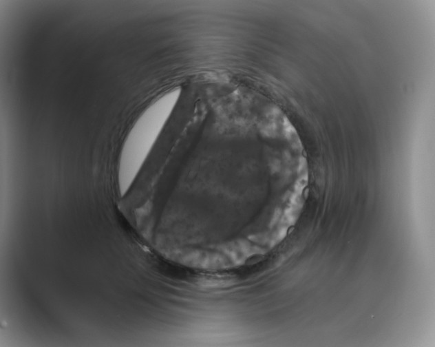 X0000088690707200706282002