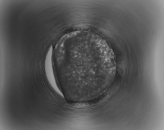 X0000088690708200706282002