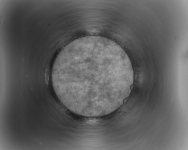 X0000088690710200706282002