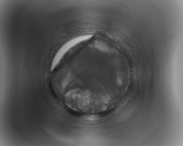 X0000088690711200706282002