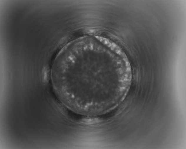 X0000088690712200706282002