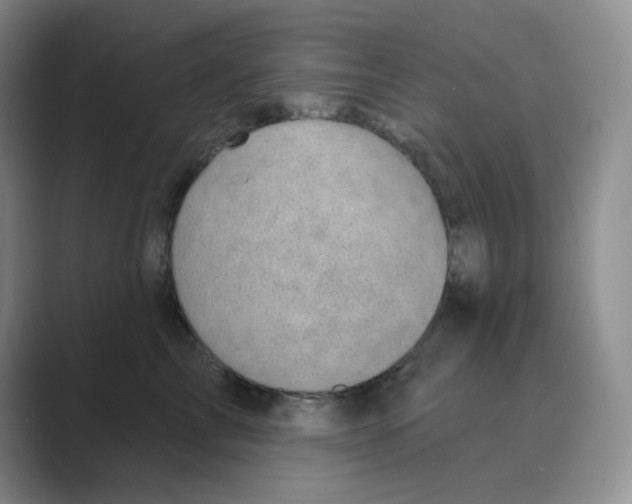 X0000088690713200706282002